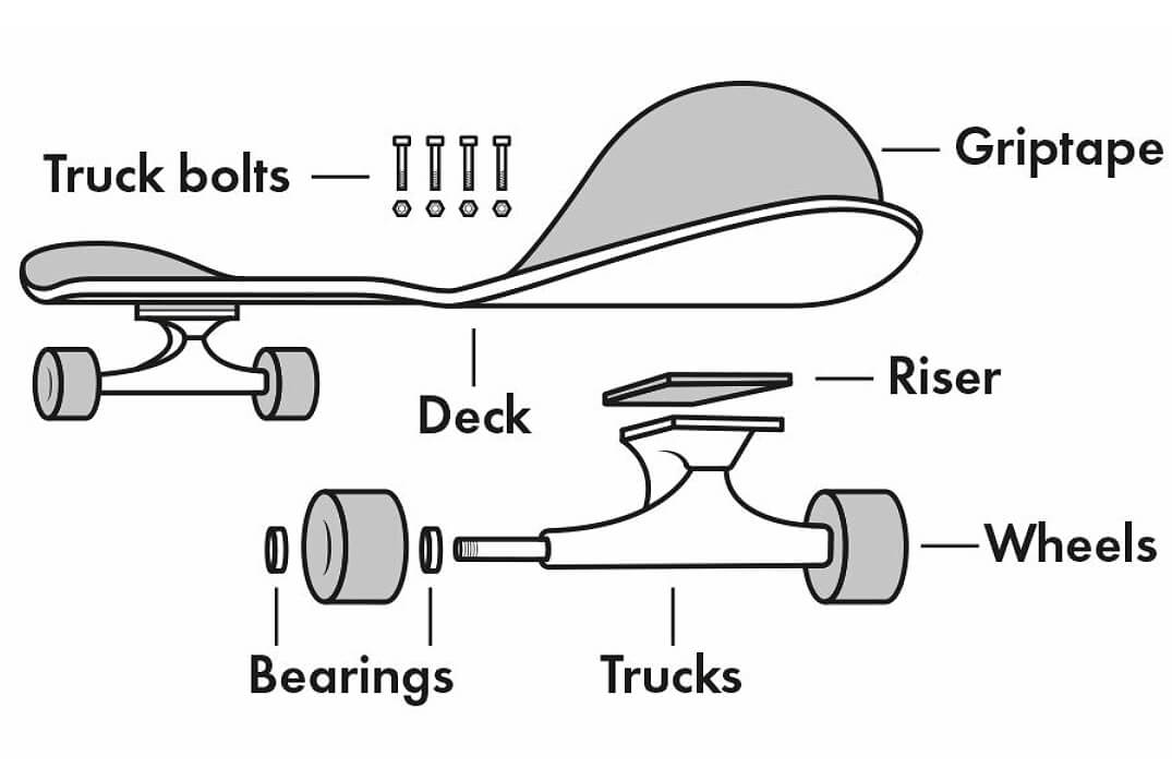 Skateboard Diagram